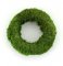 Moss Wreath Ø 20cm Green