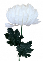 Chryzantéma kusová na stonke Exclusive biela 60cm umelá