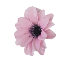 Główka kwiatowa Clematis O 11cm różowa sztuczna