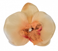 Orchidea virágfej 10cm x 8cm barack művirág - az ár 24 db-os csomagra vonatkozik