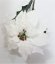 Poinsettia Poinzercia Vianočná ruža 73cm biela umelá