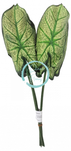 Caladium leaf green 46cm / cena za 1 umet