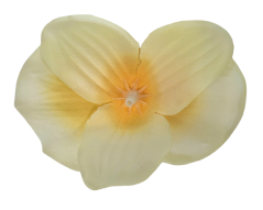 Orchidea hlava květu 10cm x 8cm žlutá umělá - cena je za balení 24ks