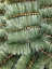 Artificial Pine Wreath Tear Shaped Big 95cm x 50cm