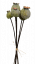 Artificial poppies Bouquet x6 25cm Green