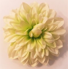 Dahlia hlava kvetu O 12cm Mint umelá