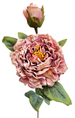 Sušení božur Exclusive 1+1 66cm umjetna ružičasta