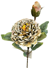 Sušení božur Exclusive 1+1 66cm umjetna zelena