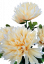 Künstliche Chrysanthemen Strauß x5 Pfirsichfarbe 50cm - Bestpreis