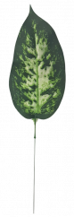 Diefenbachia levél zöld, 37cm művirág