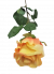 Artificial Roses
