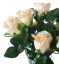 Buchet de trandafiri bej "12" 45cm flori artificiale