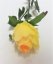 Artificial Rose on a stem Yellow 48cm