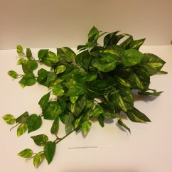 Dekorácia vetvička zelená Pothos 59cm