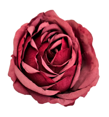 Cap de floare de Bujor 8cm roşu flori artificiale - pachet 12 buc