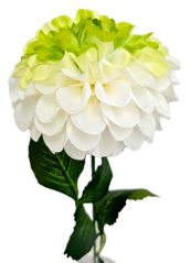 Dahlia kusová 60cm umelá krémová, zelená