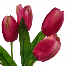 Buket tulipana x5 31cm ružičasta