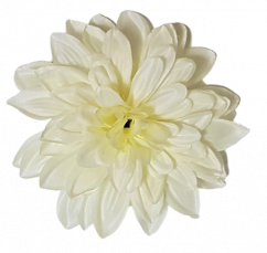 Cap de floare Dahlia O 4,7 inches (12cm) alb & bej flori artificiale
