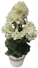 Sztuczna Pelargonia w doniczce 25cm x wysokość 49cm, biała kompozycja