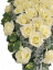Smútočný veniec "Slza" umelé ruže a listy potosu a doplnky 100cm x 70cm