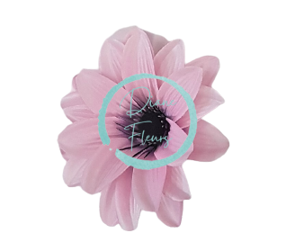 Testa di fiore di clematide artificiale rosa O 11cm