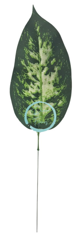 Diefenbachia liść zielony 37cm sztuczny