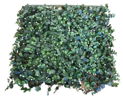 Deko Kunstrasenteppich Eukalyptus mit weißen Beeren 50cm x 50cm