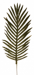 Künstliche Blattpalme grün 50cm