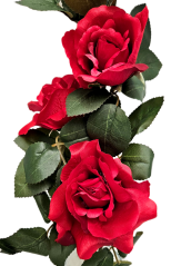 Artificial Roses Flower x6 88cm Red