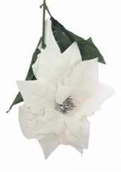Poinsettia Poinzercia Vianočná ruža kusová 73cm biela umelá