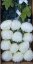 Chryzantéma kusová na stonku Exclusive krémová 60cm umělá