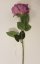 Rose vijolična 74cm umetna