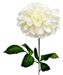 Dahlia kusová 60cm umelá krémová