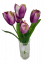 Buket tulipana x5 31cm ljubičasta