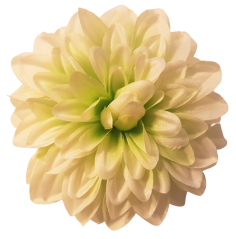 Dahlia "Dahlia" virágfej O 12cm menta művirág