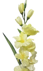 Gladiola kusová do vázy 78cm mint umělá