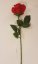Artificial Rose Bud Red 26 inches (66cm)