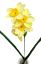 Umelý Narcis vetva 45cm sv. žltá