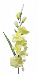 Gladiola kusová do vázy 78cm mint umělá