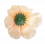 Dahlia "Jiřina" hlava květu Ø 11cm žlutá, krémová umělá