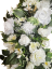 Smuteční věnec borovicový exclusive hortenzie, růže, clematis, chryzatémy, kopretiny a doplňky 80cm AS994