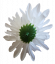 Glava cvijeta krizanteme Ø 10cm bijela umjetna