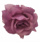 Cvetna glavica vrtnice O 10cm Vijolična umetna