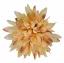 Glava cvijeta krizanteme Ø 10cm breskva, bordo umjetna