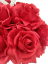 Mesterséges Rózsák és szív virágcserépben 25cm x 28cm