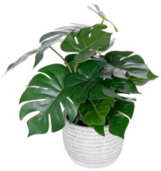 Umetna Monstera v loncu 40cm