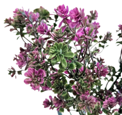 Künstlicher Sedum ʹDazzleberryʹ-Strauß 29cm Grün, Lila