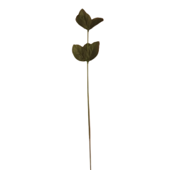 Steblo vrtnice 36 cm