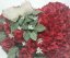 Pogrebni venec Srce iz vrtnic in brezovih listov 60cm x 60cm rdeče in umetno zelene barve
