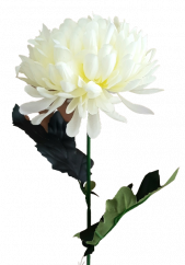 Crizantemă pe o tulpină Exclusive 60cm crem flori artificiale
